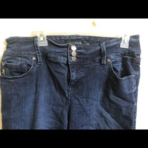 Torrid Premium jeans 16